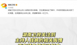 娱乐圈吃瓜模板,明星们的“意外”瞬间，笑料百出！